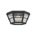 Lake County Exterior Flush Mount