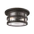 Barbosa Exterior Flush Mount