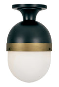 Brian Patrick Flynn Capsule 8'' Matte Black + Textured Gold Outdoor Semi Flush Mount