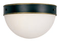 Brian Patrick Flynn Capsule 12'' Matte Black + Textured Gold Outdoor Flush Mount