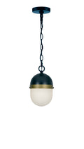 Brian Patrick Flynn Capsule 12.25'' Matte Black + Textured Gold Outdoor Pendant