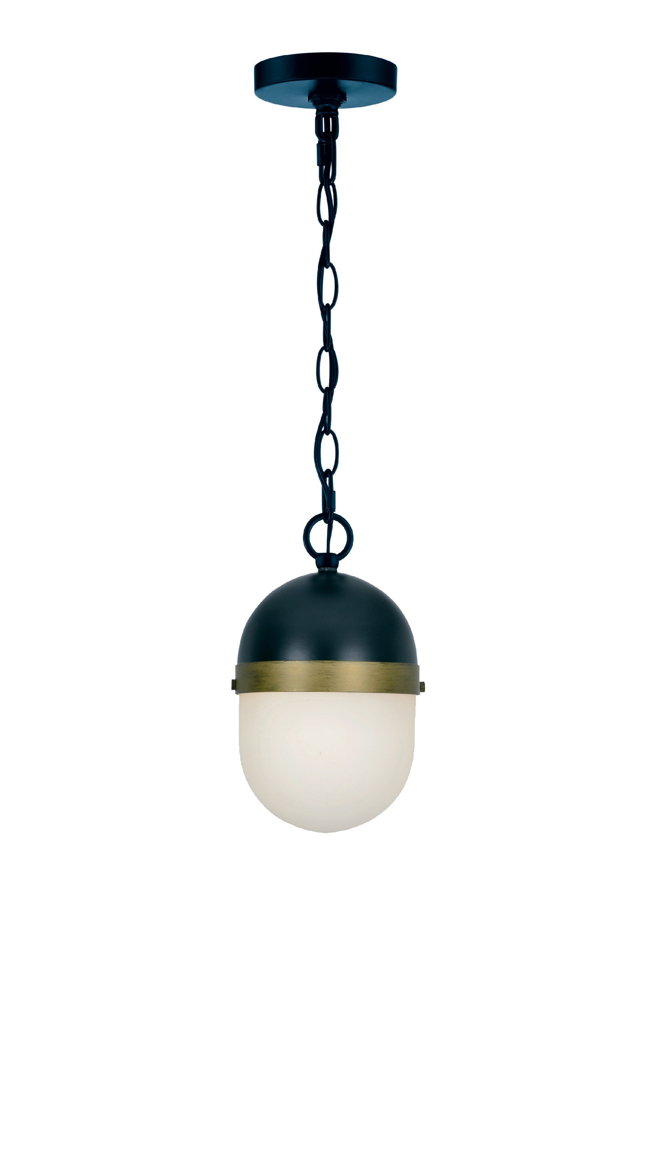 Brian Patrick Flynn Capsule 12.25'' Matte Black + Textured Gold Outdoor Pendant