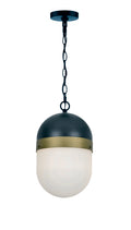 Brian Patrick Flynn Capsule 8'' Matte Black + Textured Gold Outdoor Pendant