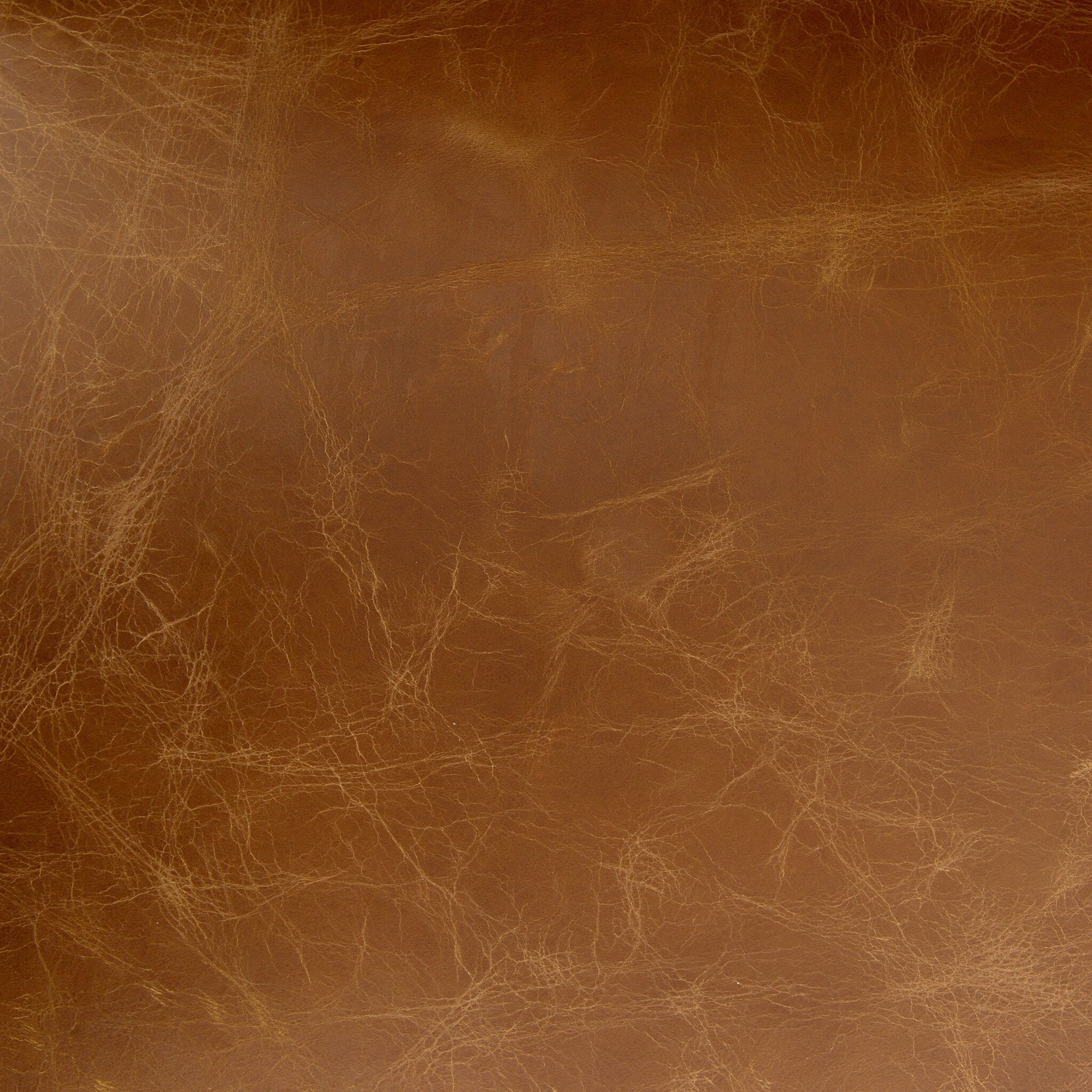 Aria Counter Stool - Sienna Chestnut