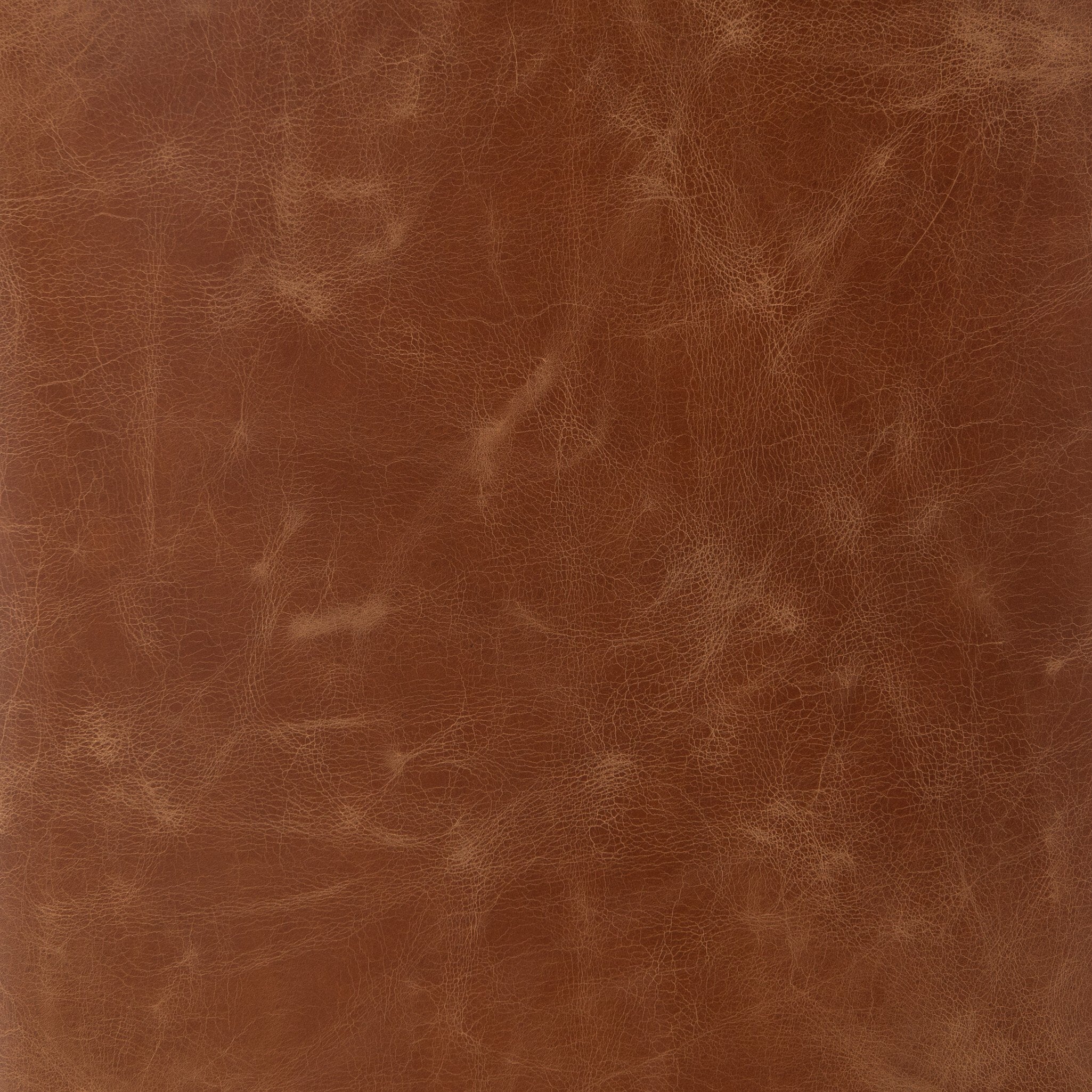 Aria Dining Chair - Sienna Chestnut