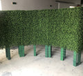 Boxwood Custom Hedges