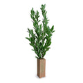 Camellia Leaf Branches in Terracotta 48"H