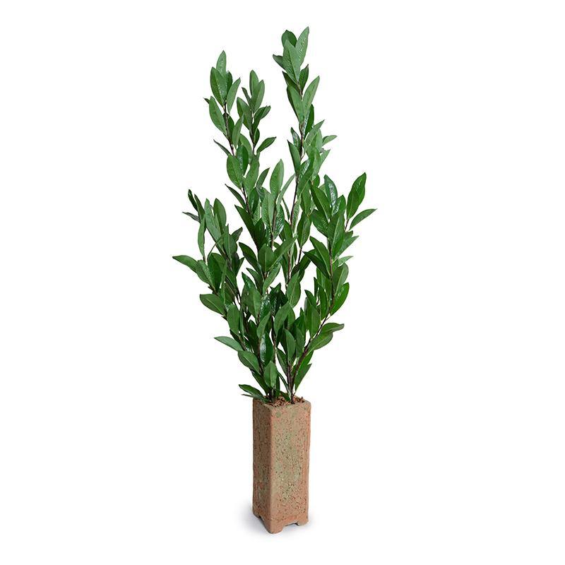 Camellia Leaf Branches in Terracotta 48"H