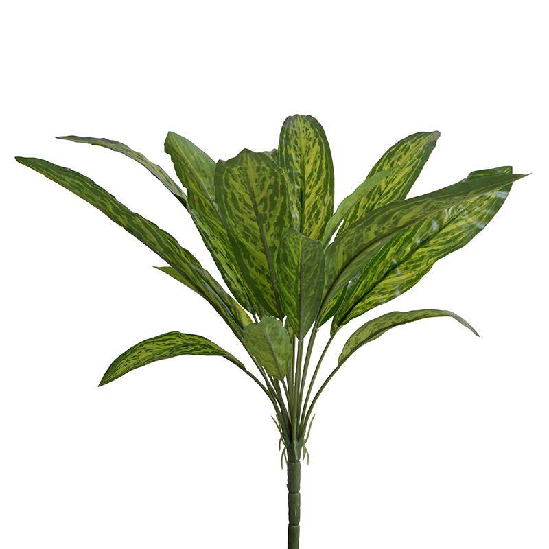 Aglaonema Branch, 18" L