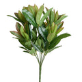 Aglaonema Branch, 20" L