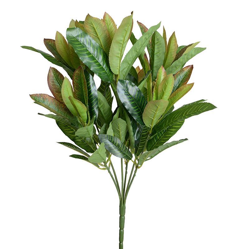 Aglaonema Branch, 20" L