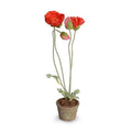 Poppy in Terracotta 20"H Orange
