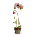 Poppy in Terracotta 20"H Pink