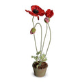 Poppy in Terracotta 20"H Red
