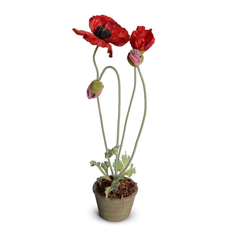 Poppy in Terracotta 20"H Red