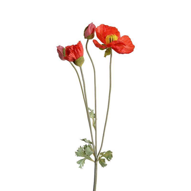 Poppy Spray - Orange-red