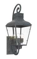 Dumont 12'' Graphite Outdoor Sconce