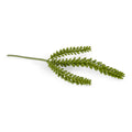 Succulent Pick, Sedum