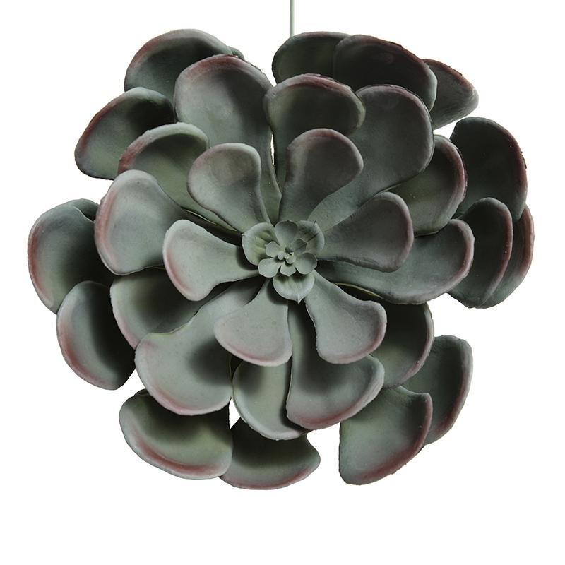 Aeonium Succulent Pick 8"