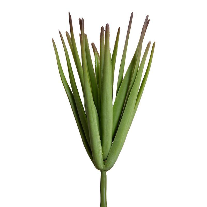 Succulent Pick, Aloe