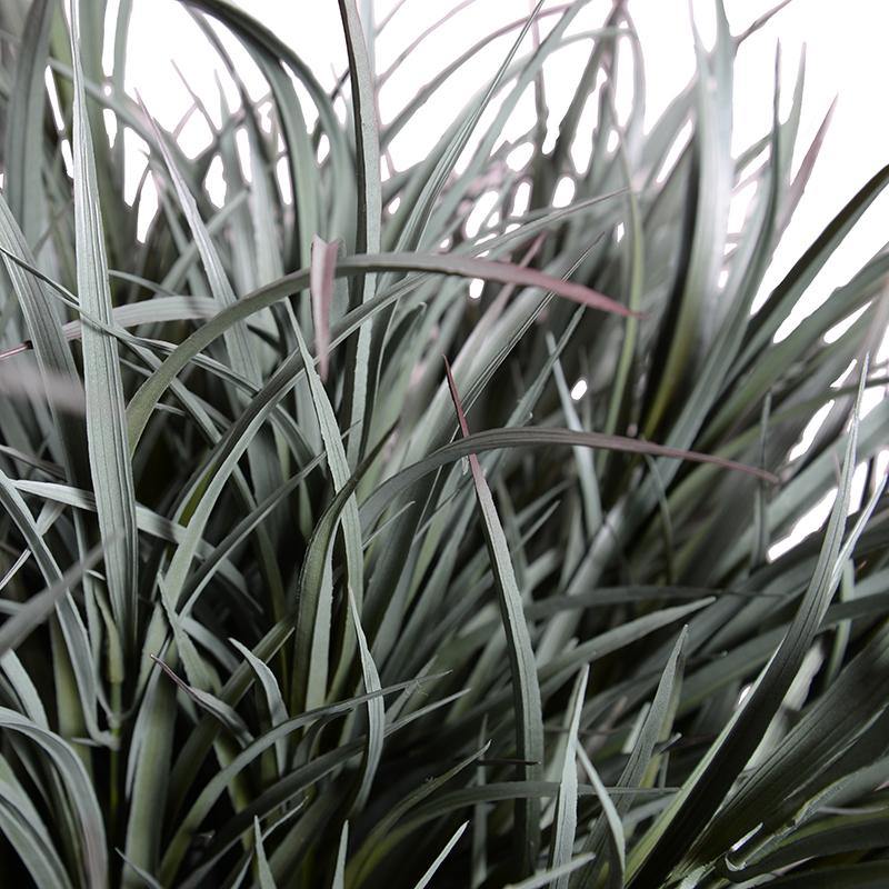 Orchard Grass x3 and 45" Planter Gray Green / Gray Planter / Standard
