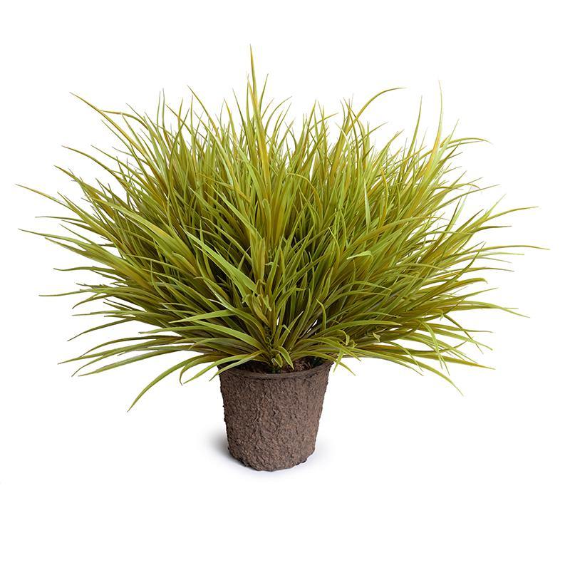 Orchard Grass 31"H Yellow Green