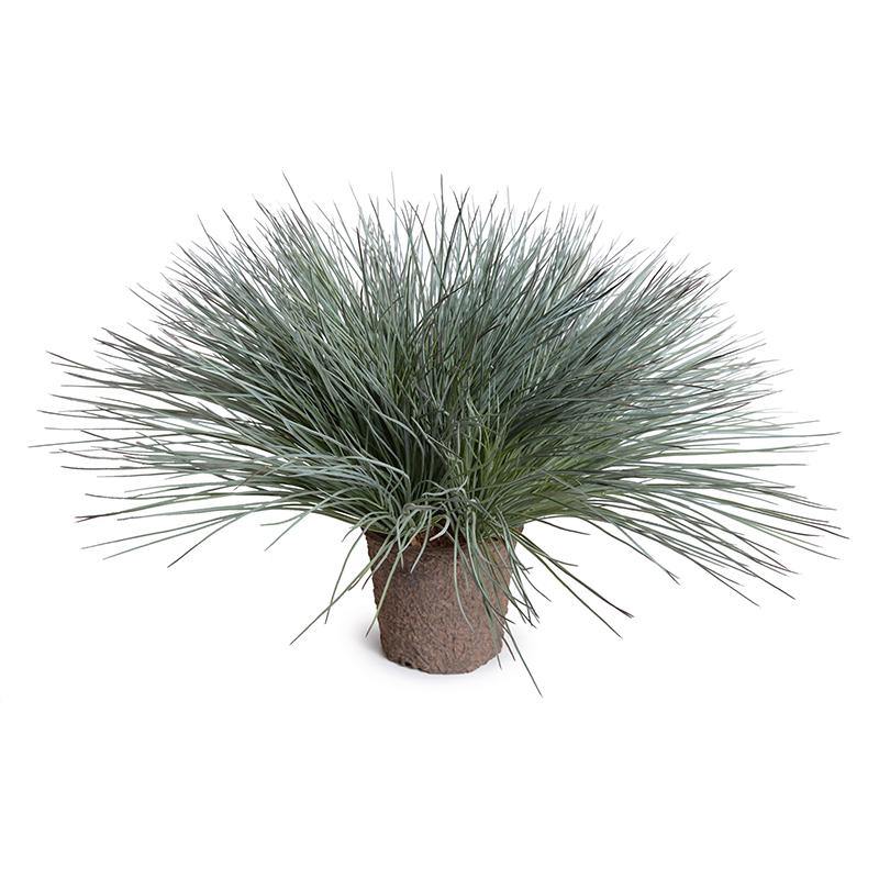 Onion Grass 22"H Gray Green