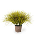 Onion Grass 22"H Yellow/Green/Wine Tri-color