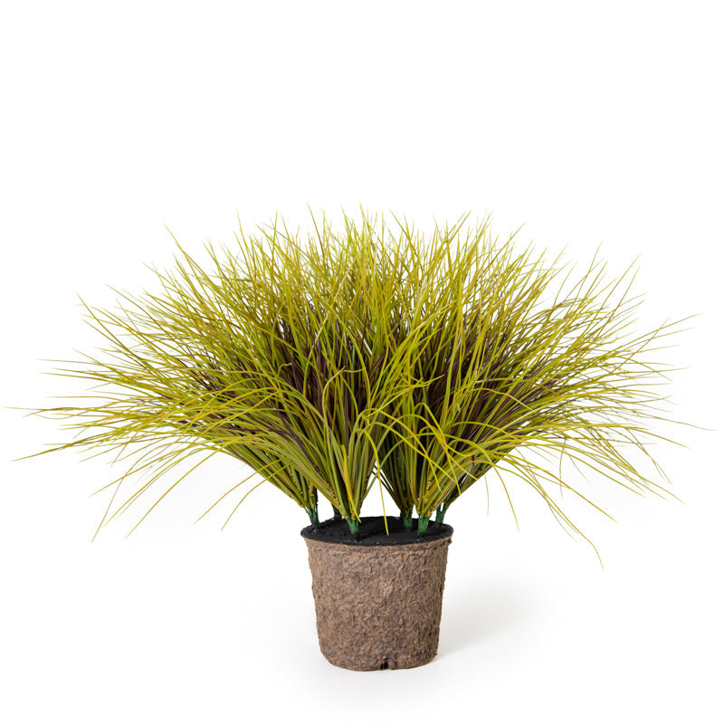 Onion Grass 22"H Yellow/Green/Wine Tri-color