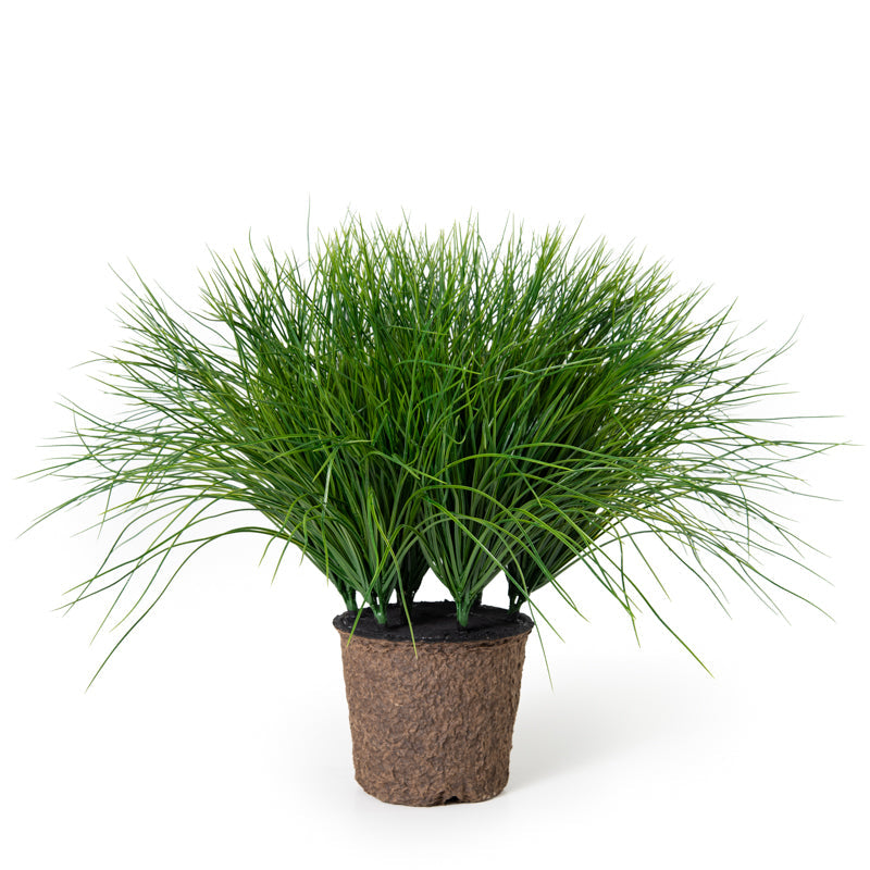 Onion Grass 22"H Green