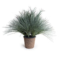 Onion & Orchard Grass 31"H Gray Green