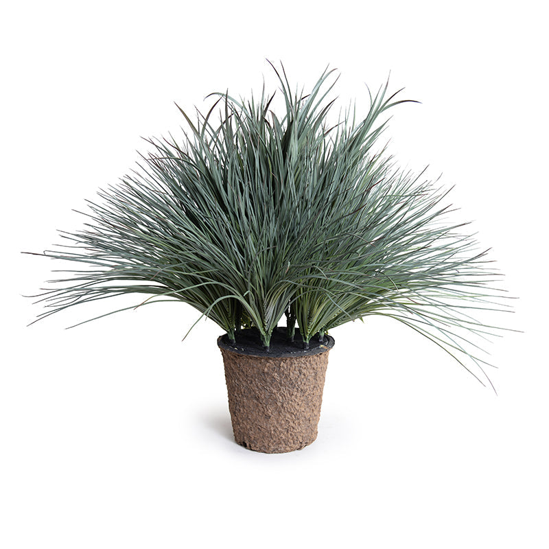 Onion & Orchard Grass 31"H Gray Green