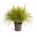 Onion & Orchard Grass 31"H Yellow Green
