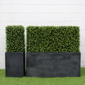 Boxwood Column 22" 15" Gray Column 42"H
