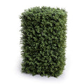Boxwood Column 22" Boxwood Column Only