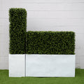 Boxwood Column 42" 15" White Column 42"H