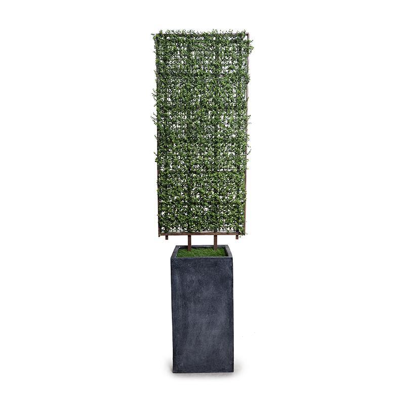 Boxwood Trellis Trellis in 30"