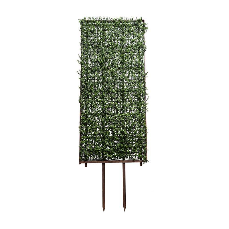 Boxwood Trellis Trellis Only