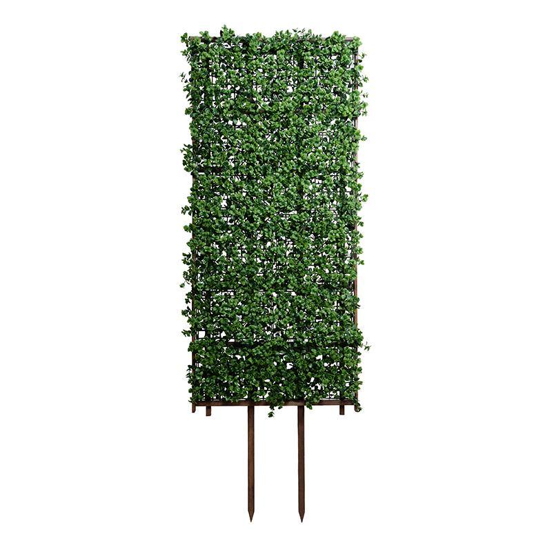 Pachysandra Trellis Trellis Only