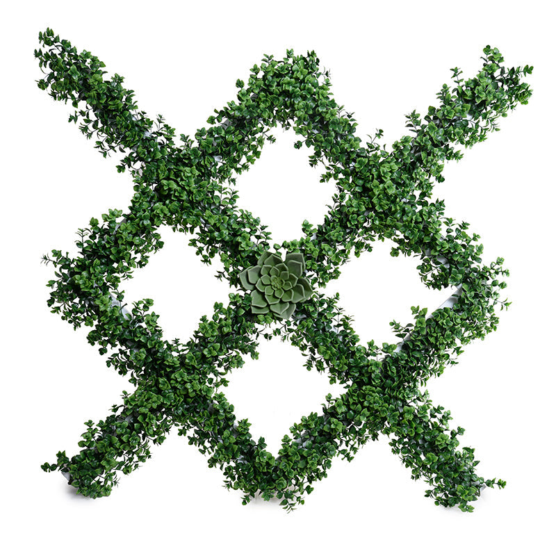 Pachysandra Garden Trellis w/ Echeveria Succulent 42"