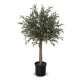 Olive Single Topiary 54"