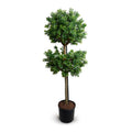 Boxwood Branch Single Topiary Double 66"