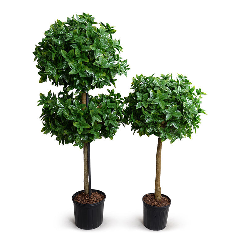 Holly Leaf Topiary Double 66"