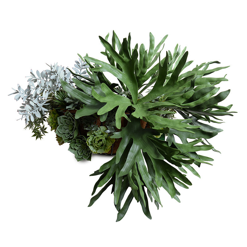Staghorn & Succulents Hayrack Planter