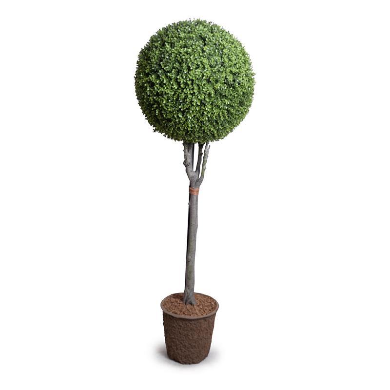 Boxwood Ball Topiary 68"H