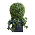 Boxwood Lantern w/Ivy Vines in Cube Planter 50"H Gray Planter