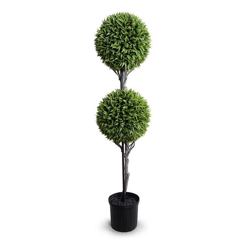 Broadleaf Podocarpus Ball Double Topiary 71"