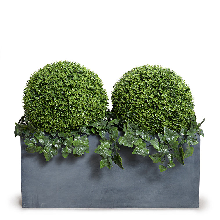 Boxwood Balls w/Ivy Vines in Planter - 41"H 45"