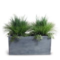 Onion, Orchard Grass w/Vine x2 and 45" Planter Green / Gray Planter / Standard
