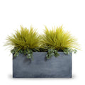 Onion, Orchard Grass w/Vine x2 and 45" Planter Yellow Green / Gray Planter / Standard